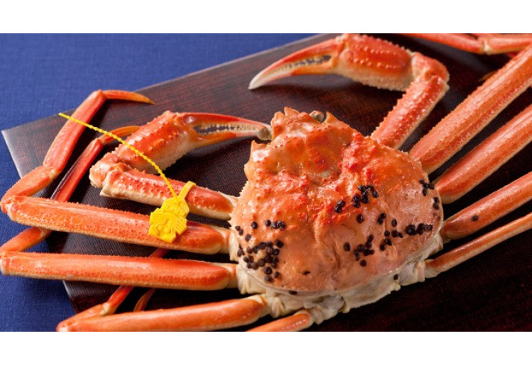 越前かにコース(冬季期間限定)